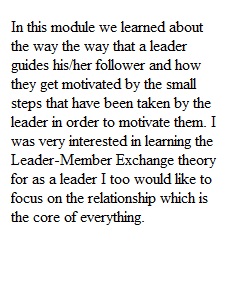 Leadership Reflection Paper